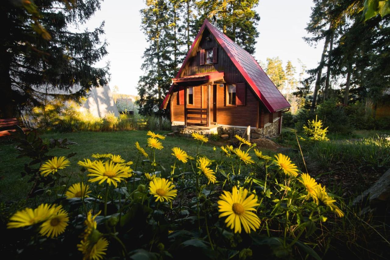 Chata Olšovka - B&B
