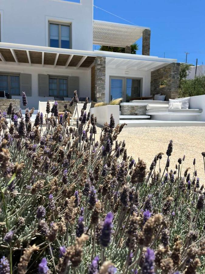 Neso seafront studio Paros - B&B Parasporos