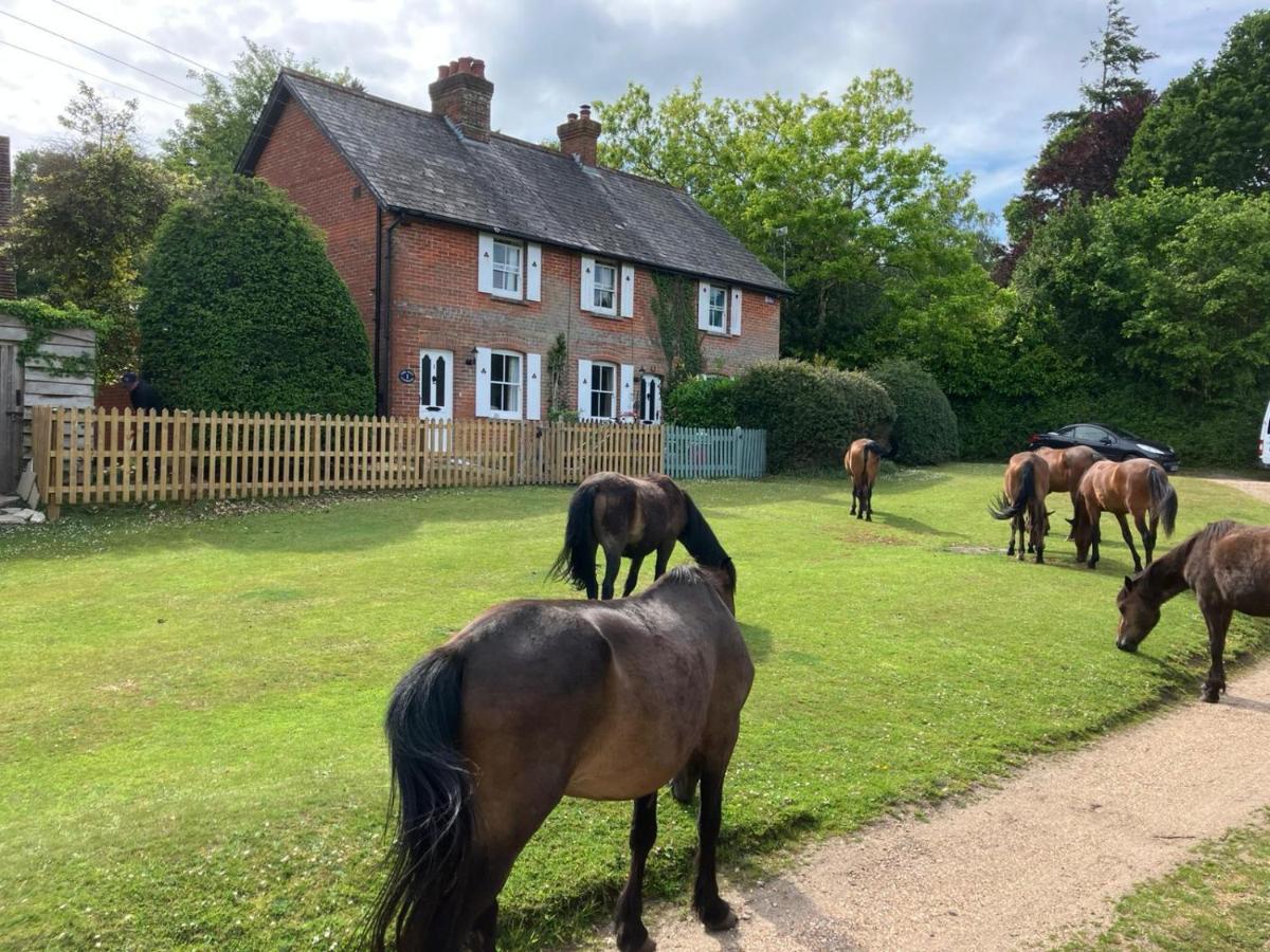 Yew Tree Cottage - B&B Lyndhurst