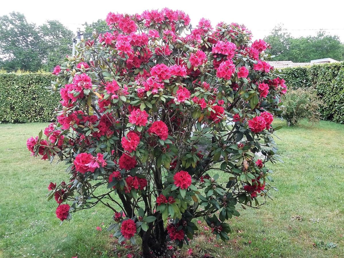 Lac et Nature - B&B Sanguinet