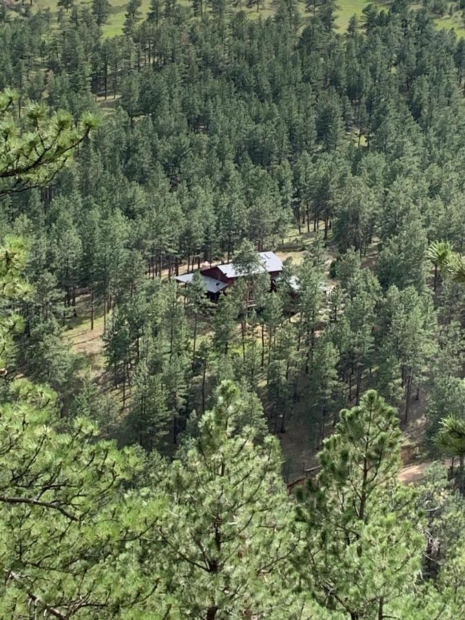 Your Mountain Retreat - B&B