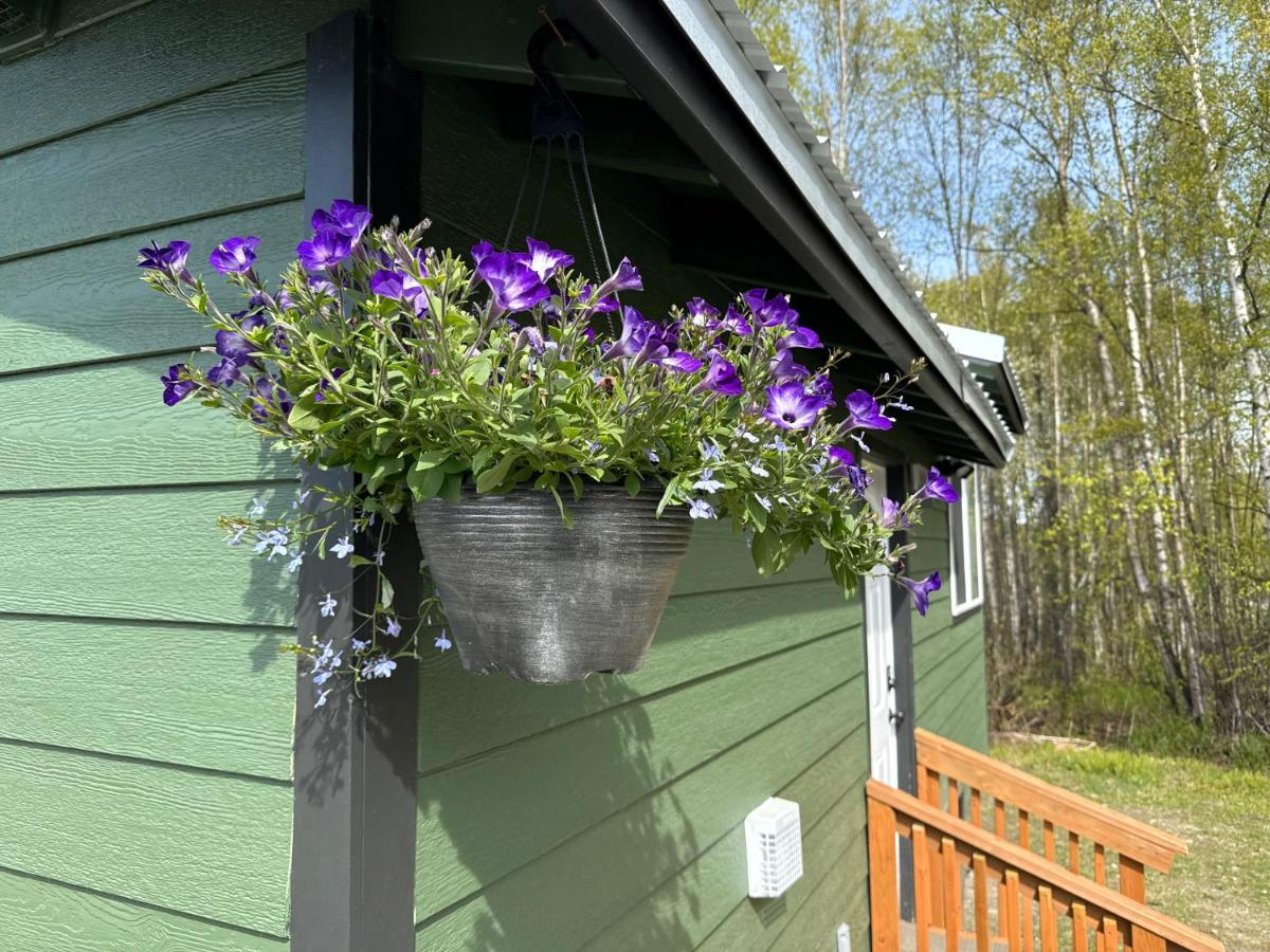 Tiny Home at Bear Mountain -Only 25 Min from Anchorage, Great Central location-Cute & Comfortable - B&B