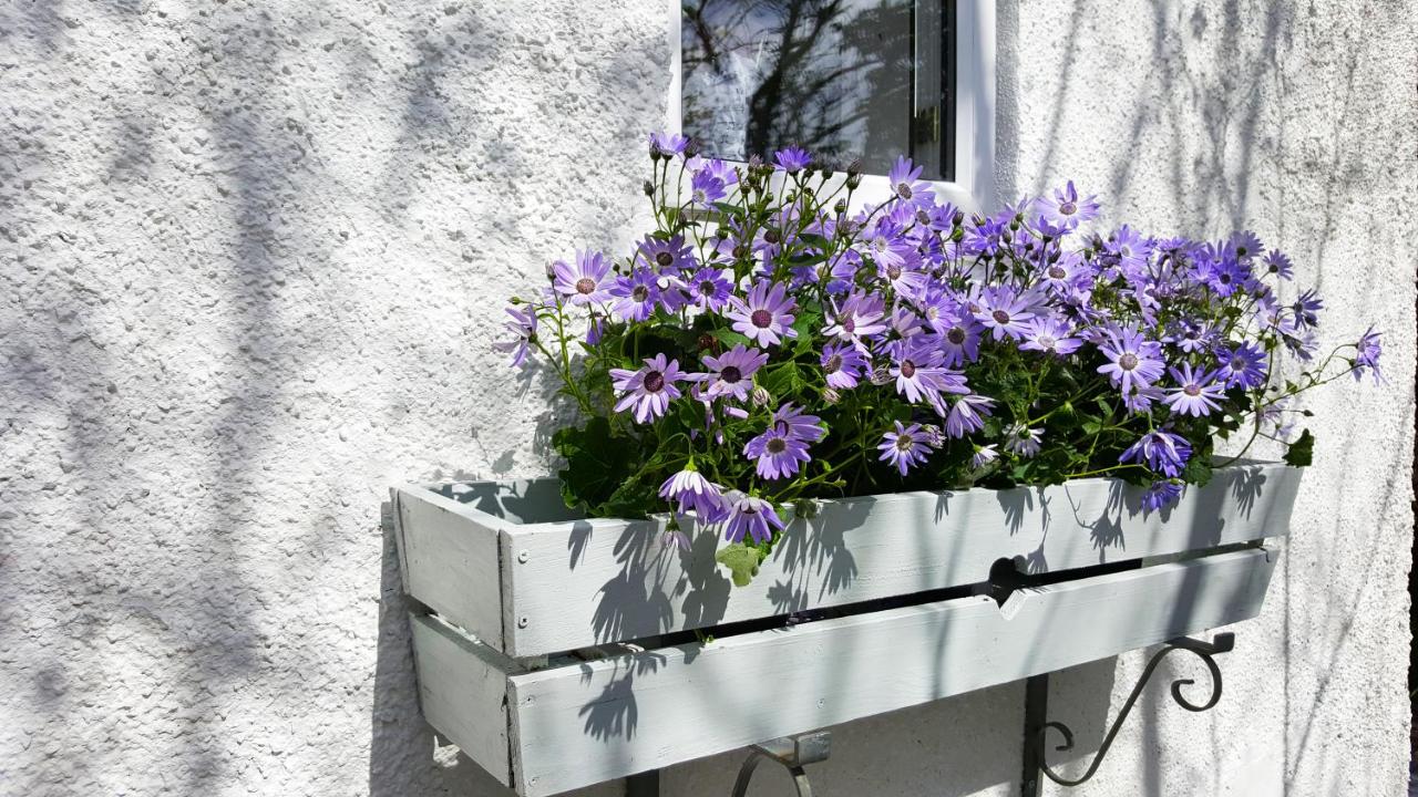 Elmbank Garden Apartment - Ferienwohnung