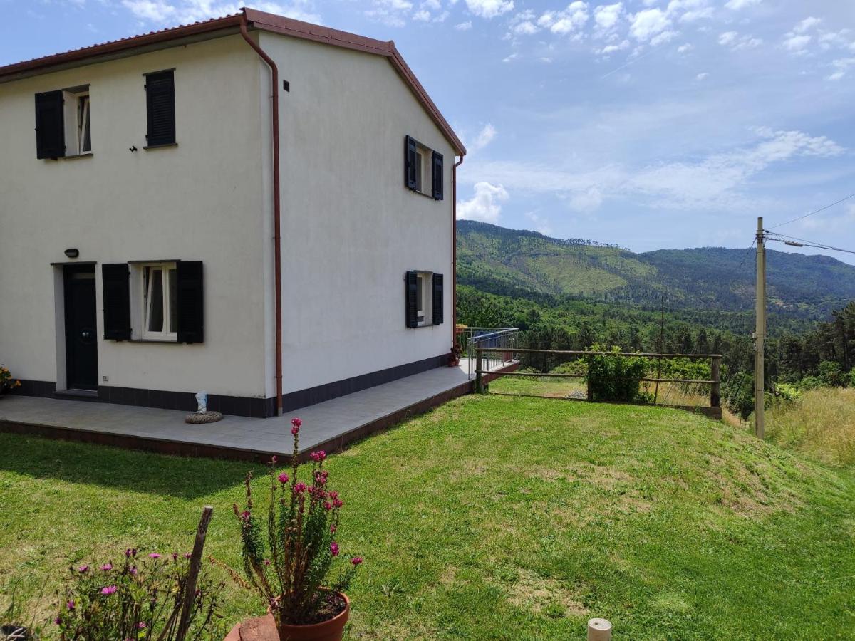La casa delle Mogge - B&B Piazza