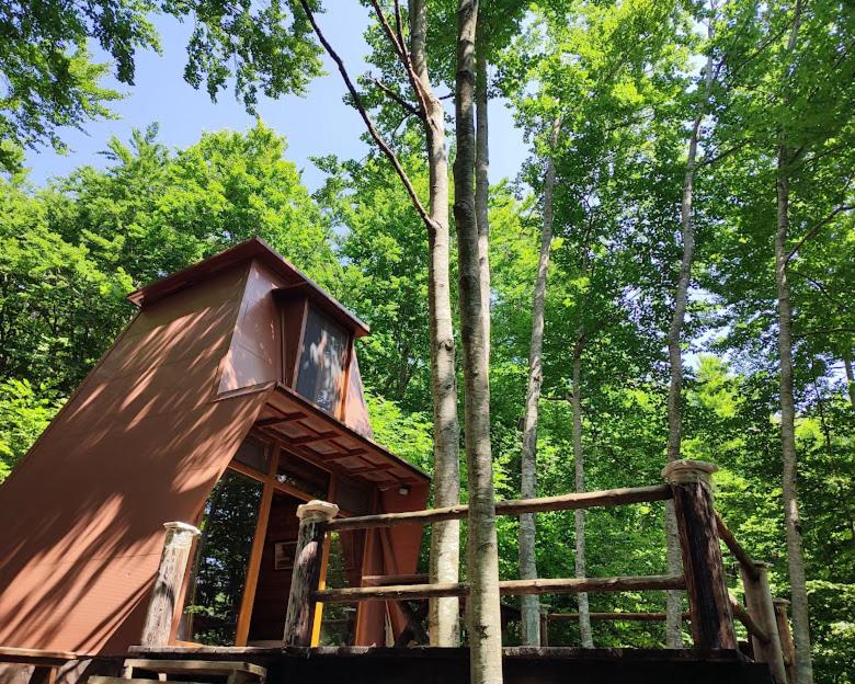 Forest House Paradise - B&B