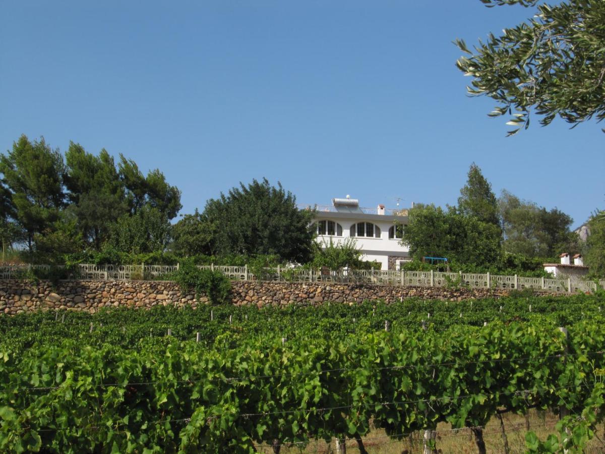 Villa Maria - B&B