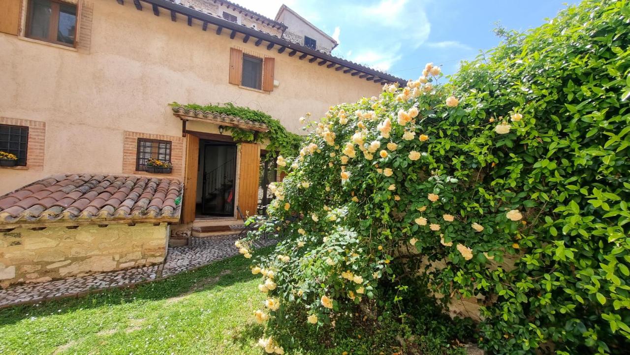 La Casa di LucaPietro Dimora Storica - B&B