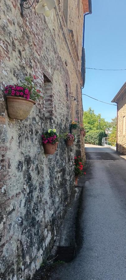 Villa la Grotta Montecastelli Pisano - B&B