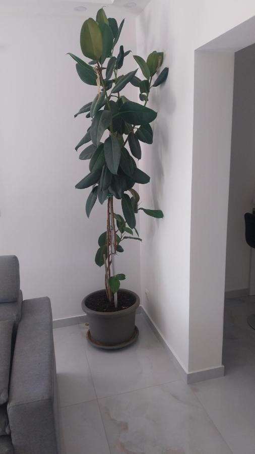 Appartement Deluxe