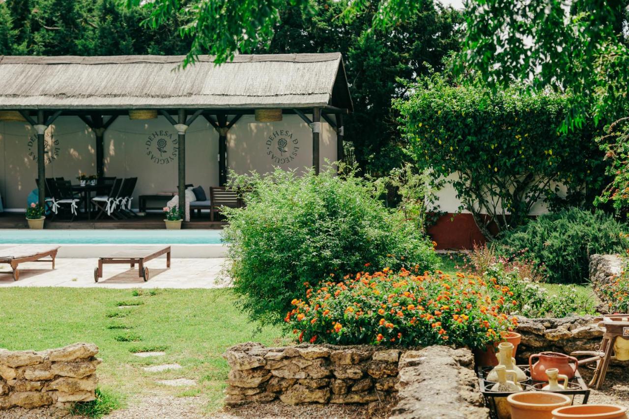 Dehesa de las Yeguas casa en finca privada con piscina y playa - Ferienwohnung Cádiz