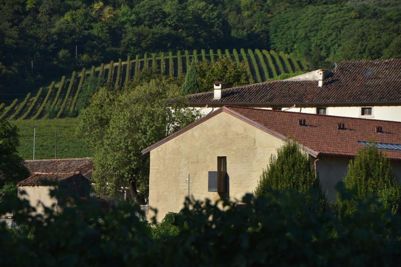 Villa del Brolo - Famiglia Furia - B&B