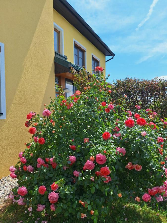 Summer Wine romantisches, fahrradfreundliches Weinbergidyll mit Traumausblick gleich neben Buschenschank! - Chambres d'hôtes Leutschach