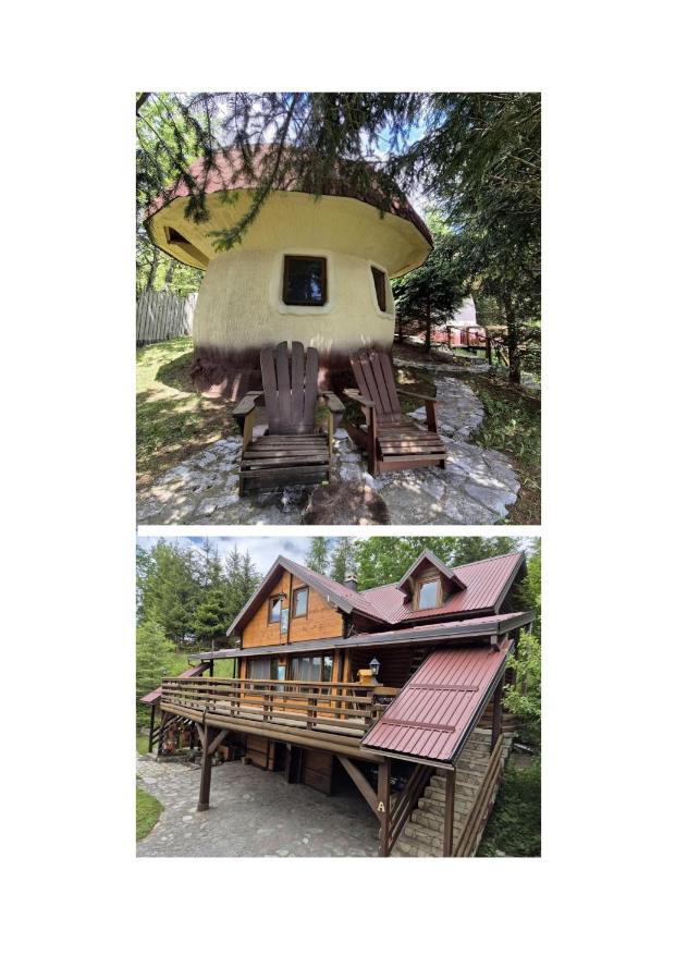Art Apartments Minic - B&B