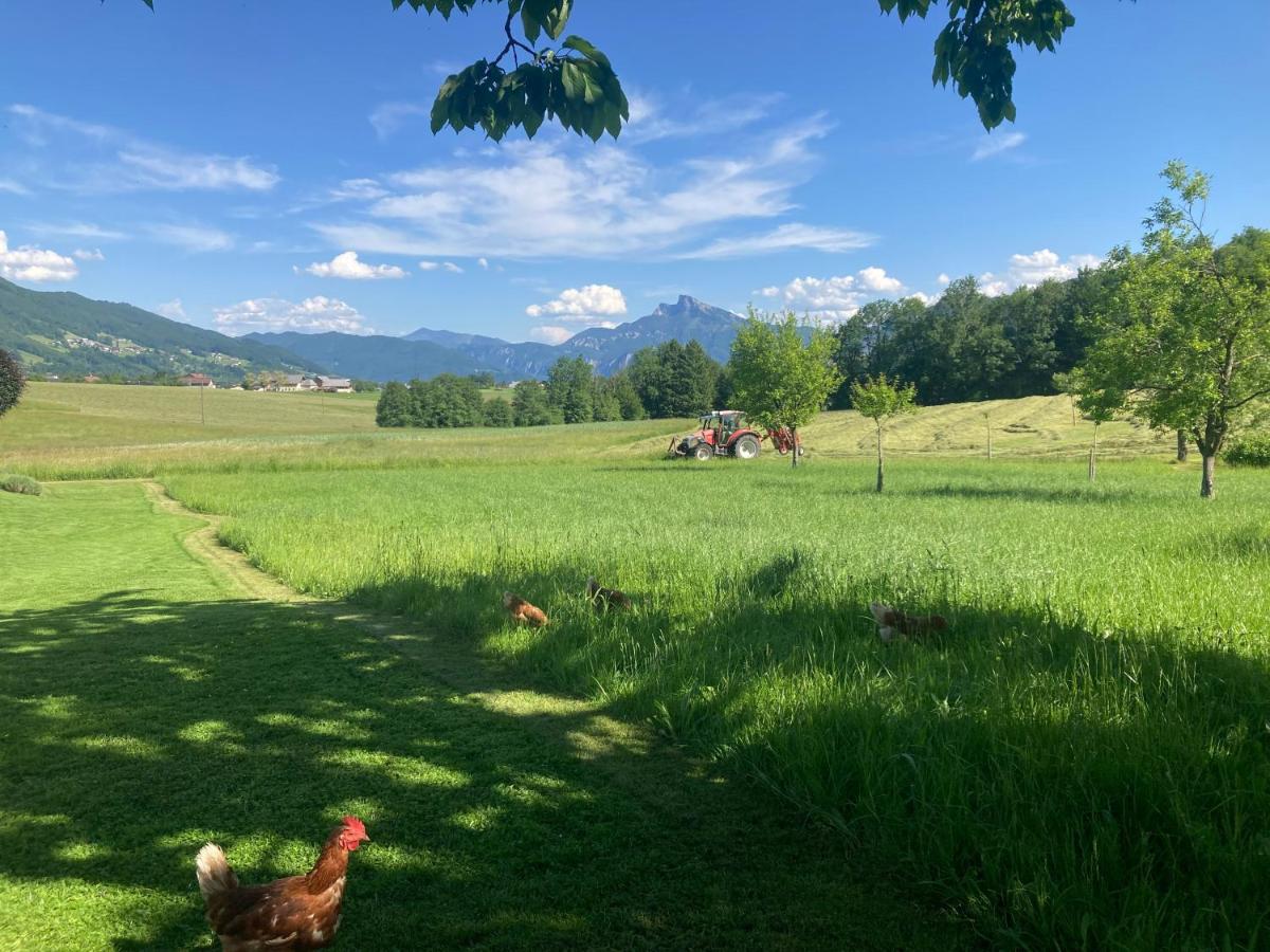 Ferienwohnung Mondsee-Irrsee - B&B