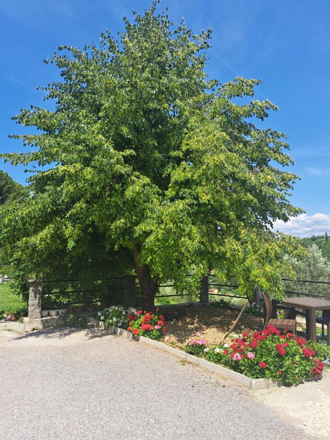Apartma Solina - Chambres d’hôtes