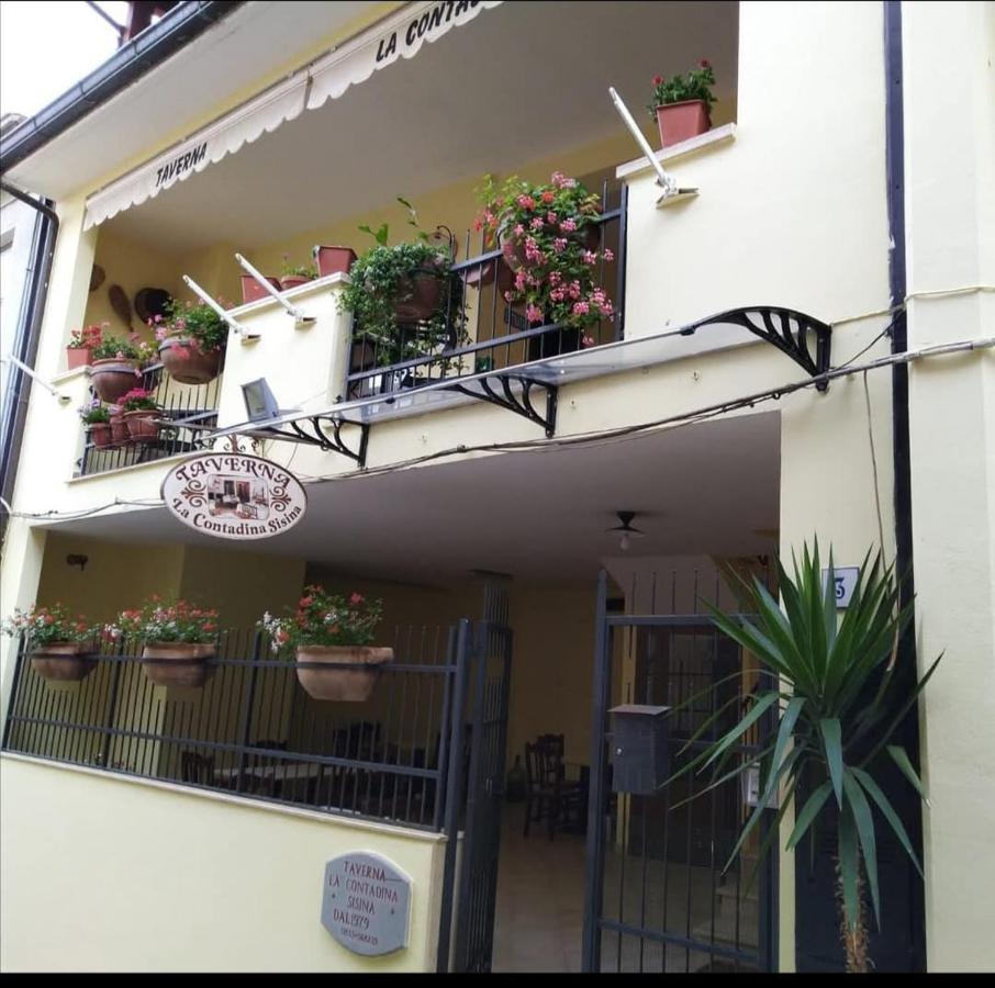 Affittacamere La Contadina Sisina - Bed and Breakfast Aliano