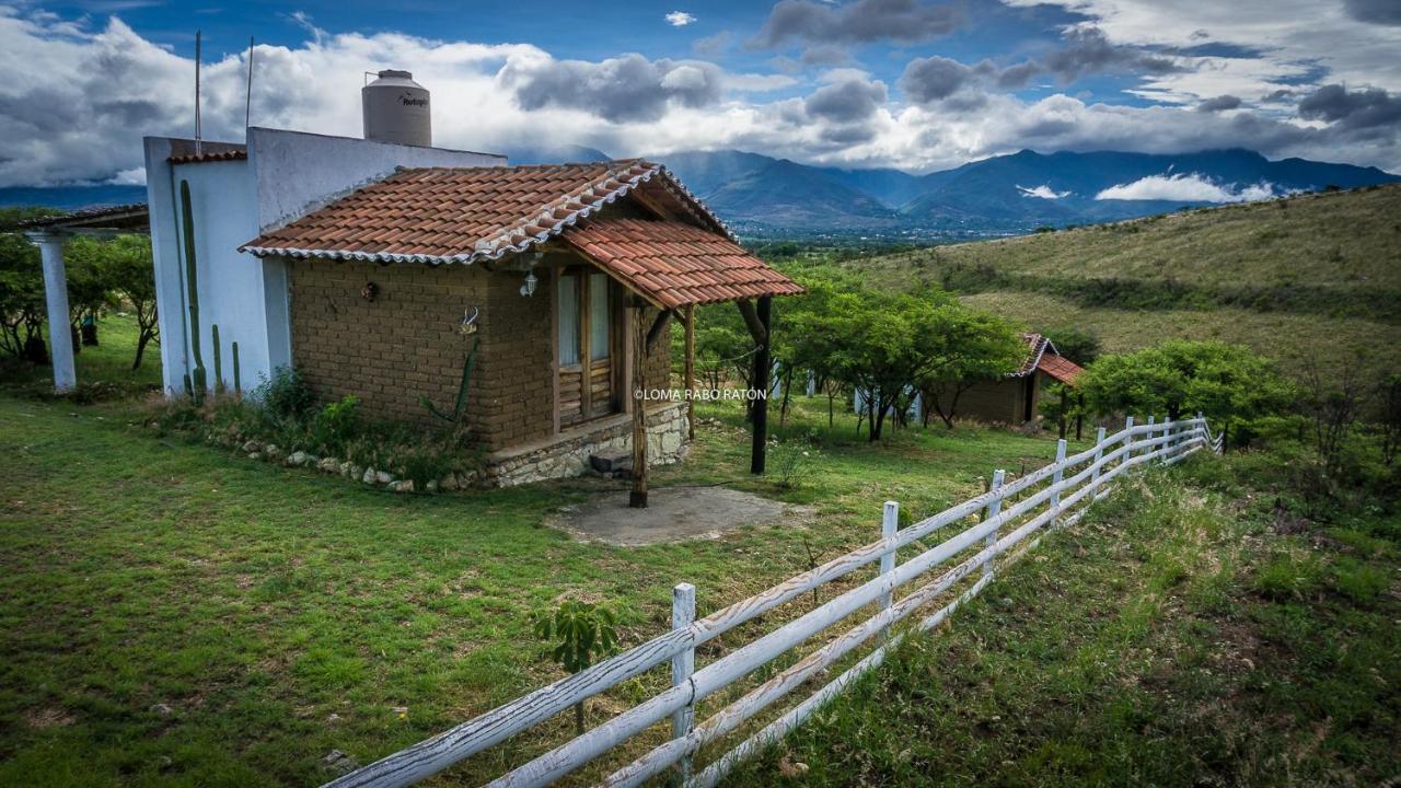 LomaRaboRatón - B&B Oaxaca de Juárez