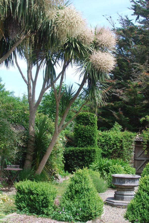 Gîte de charme & jardin exceptionnel à 800 m de la mer - Chambres d’hôtes Flamanville