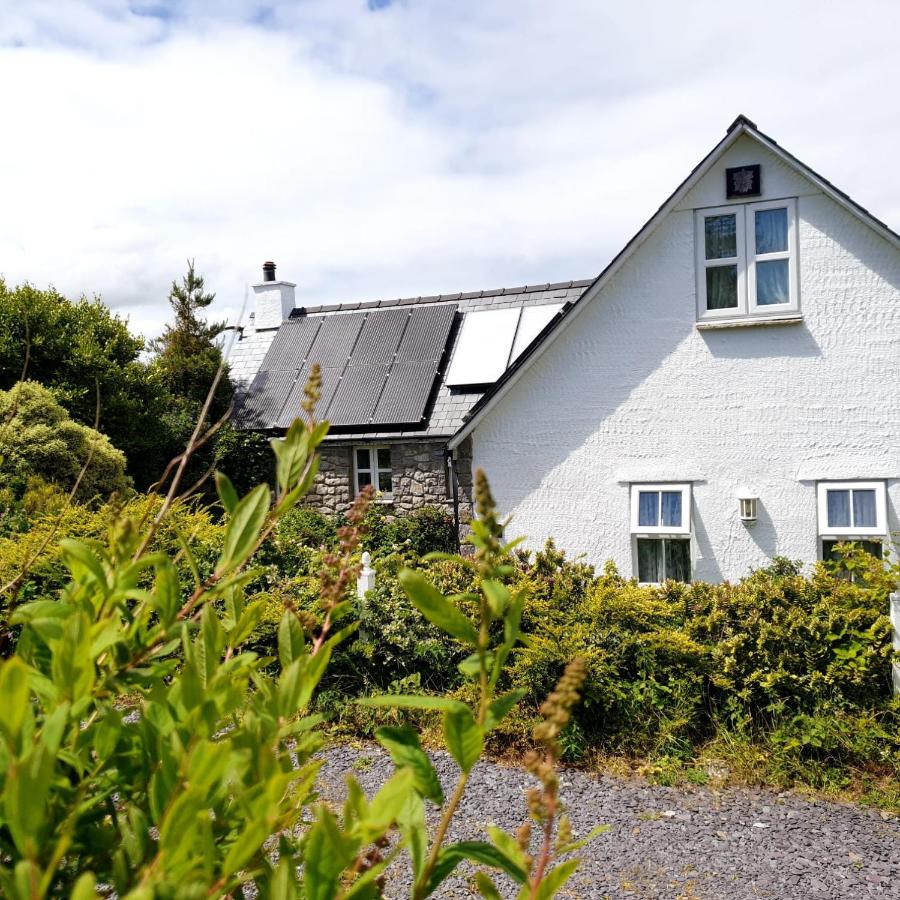 Short & Sweet Alpaca Retreat - B&B Penrhos-Lligwy