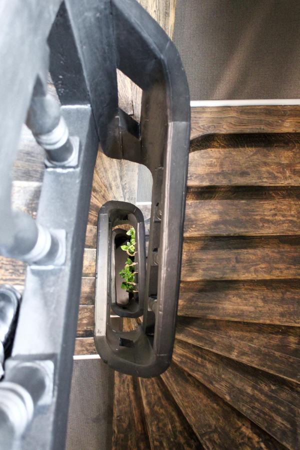 Dijon Hypercentre - Loge Des Ducs - B&B Digione