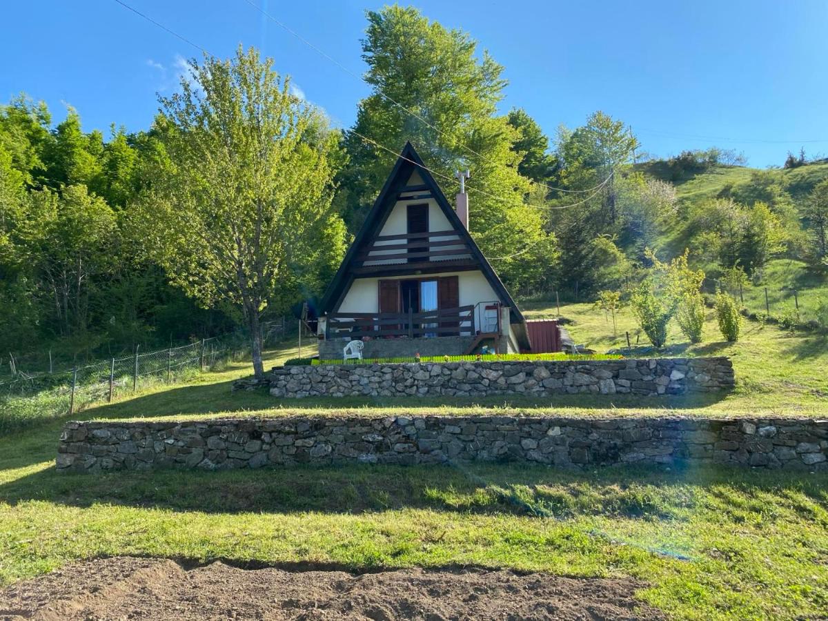Hilltop cabin - B&B Podgorica