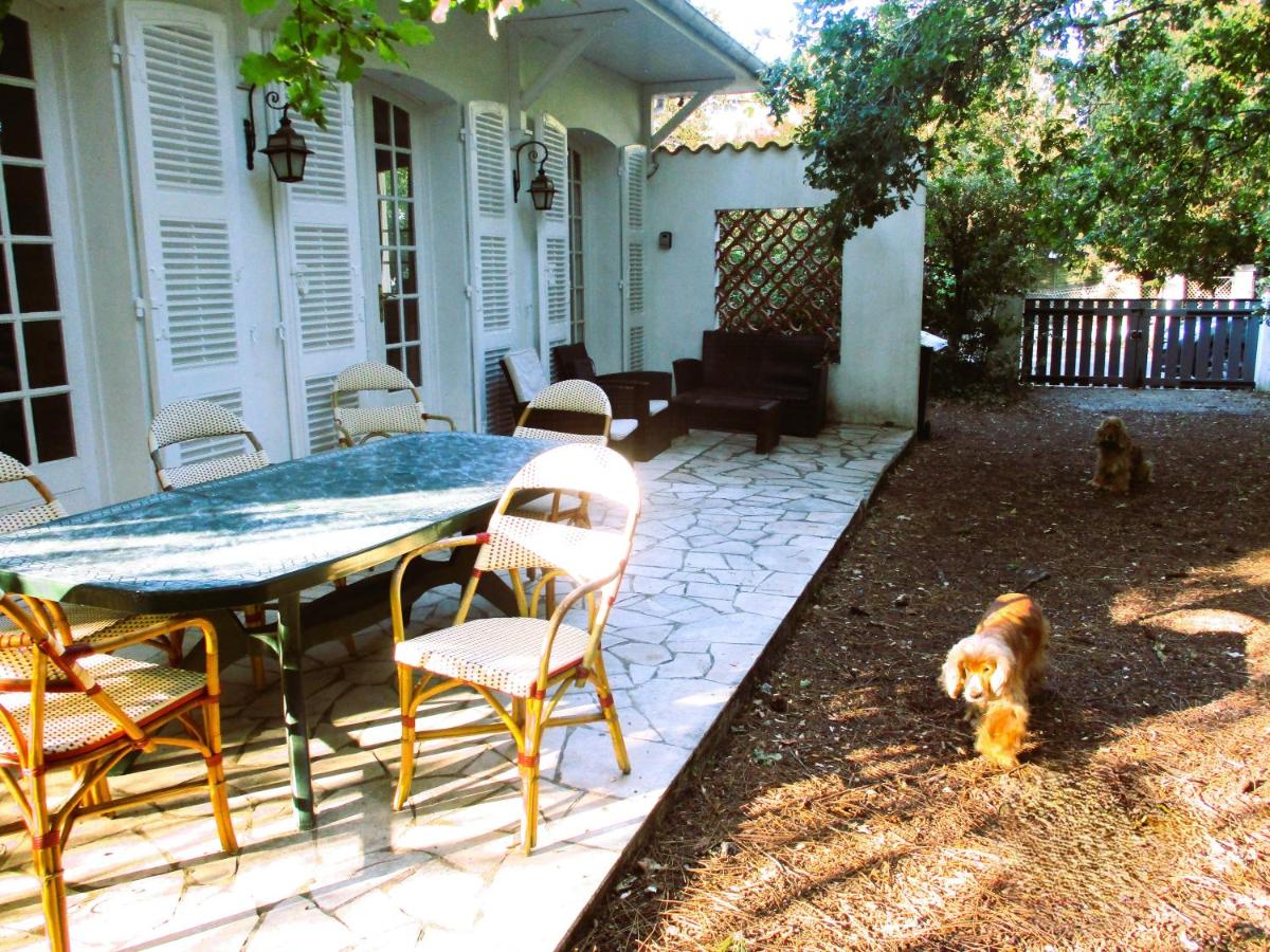 RONCE,MER à 1mn ,en XXL, reposant avec VOS animauX ! - B&B Ronce-les-Bains