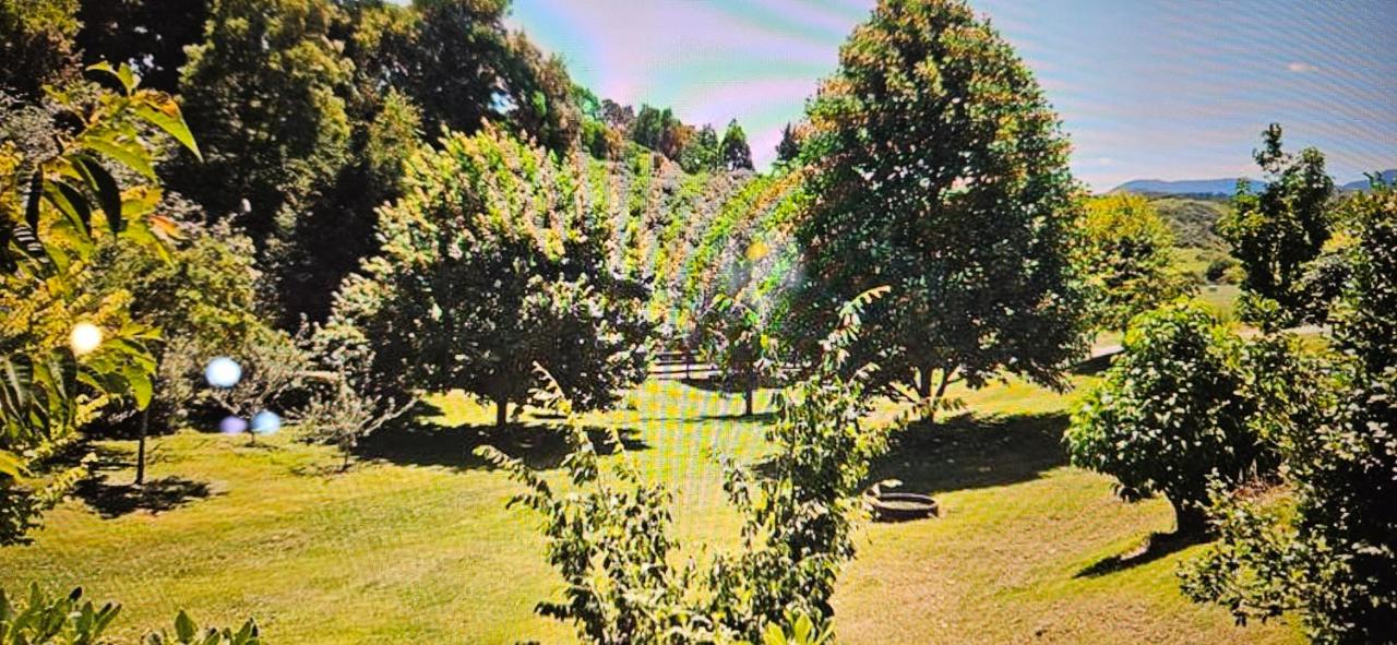 Rough Meadows - MTB Haven & Good Vibes Retreat - B&B Rotorua