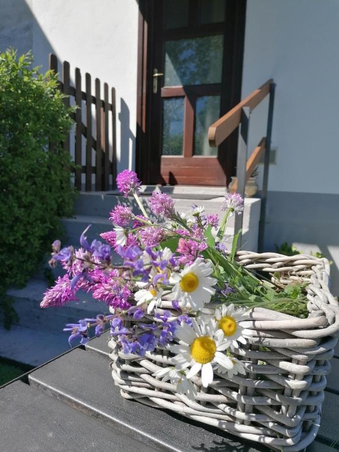 Antica Quercia Apartment - B&B