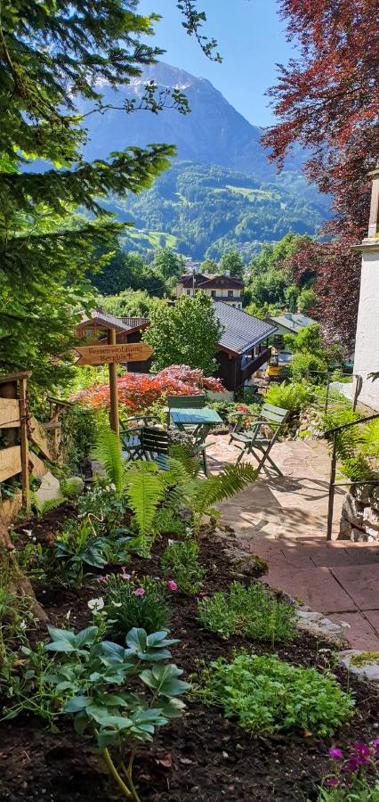 Appartamento con Vista Montagna