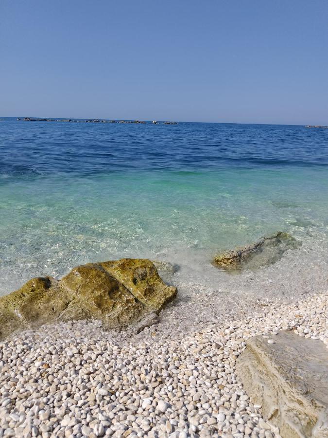 Art Village Residence - B&B Bisceglie