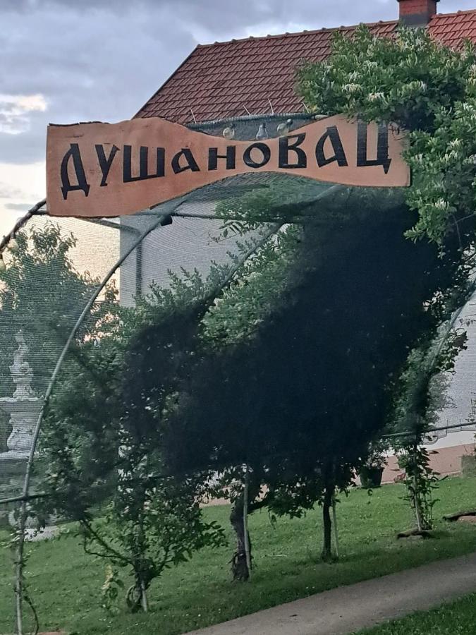 Dušanovac - B&B Raška