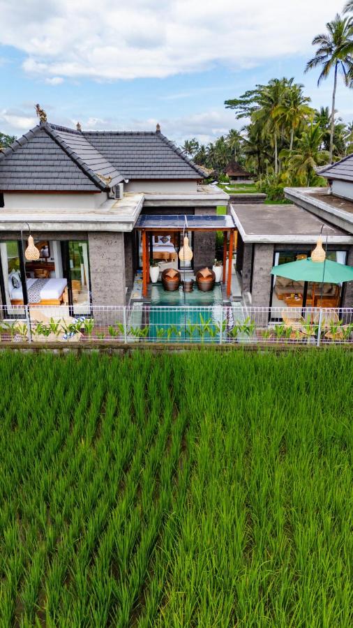 Jasmine Serenity Sunrise #2 - Chambres d’hôtes Ubud