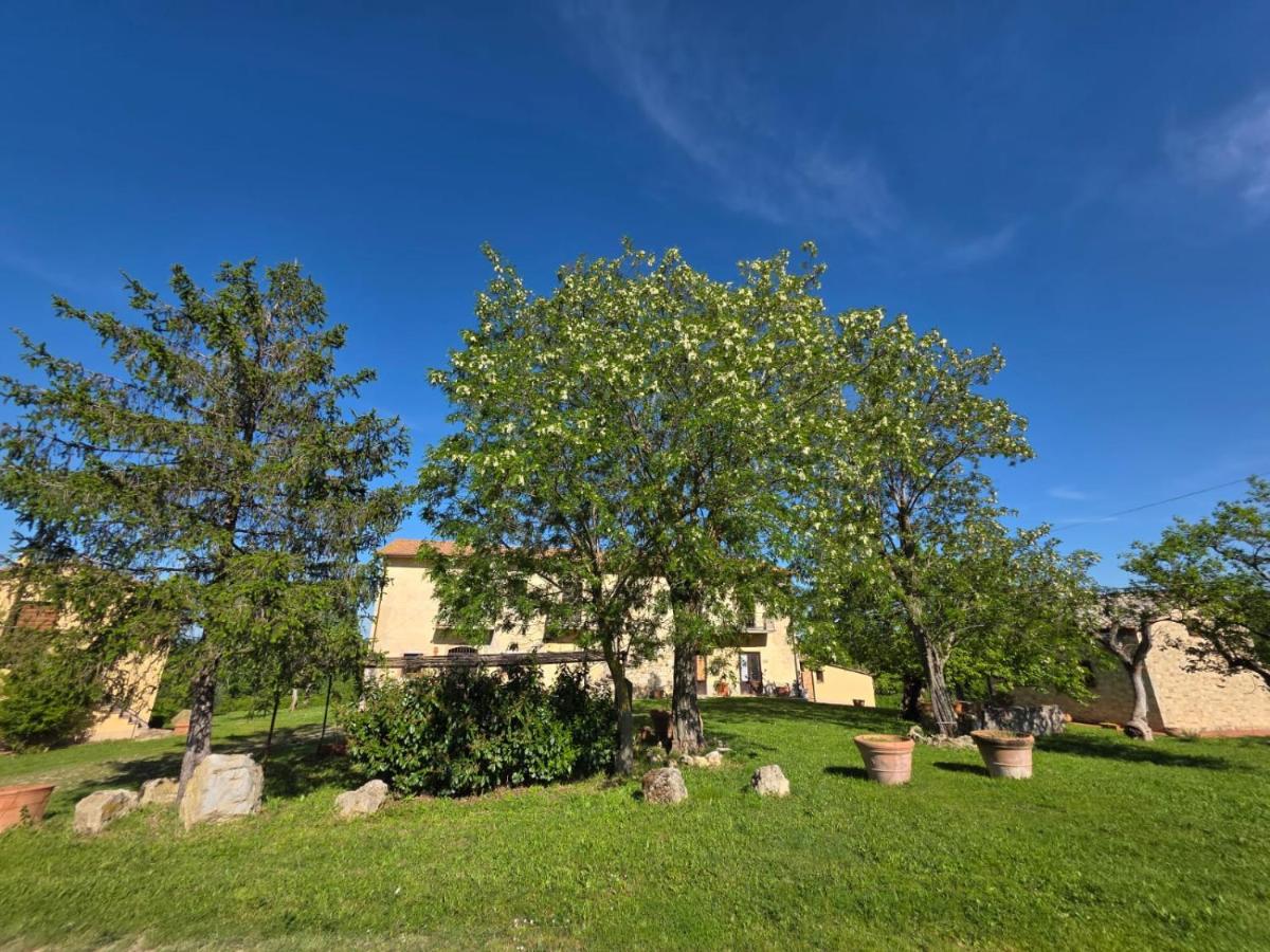 Deluxe Appartement met 1 Slaapkamer en Uitzicht op de Tuin