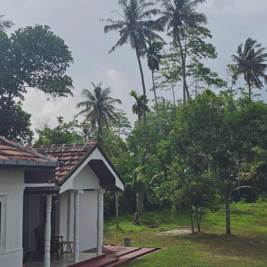 CoViva - B&B Kumbalgama
