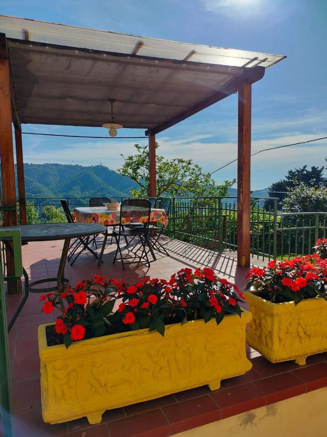 Villa MariaPia - Ferienwohnung Camaiore