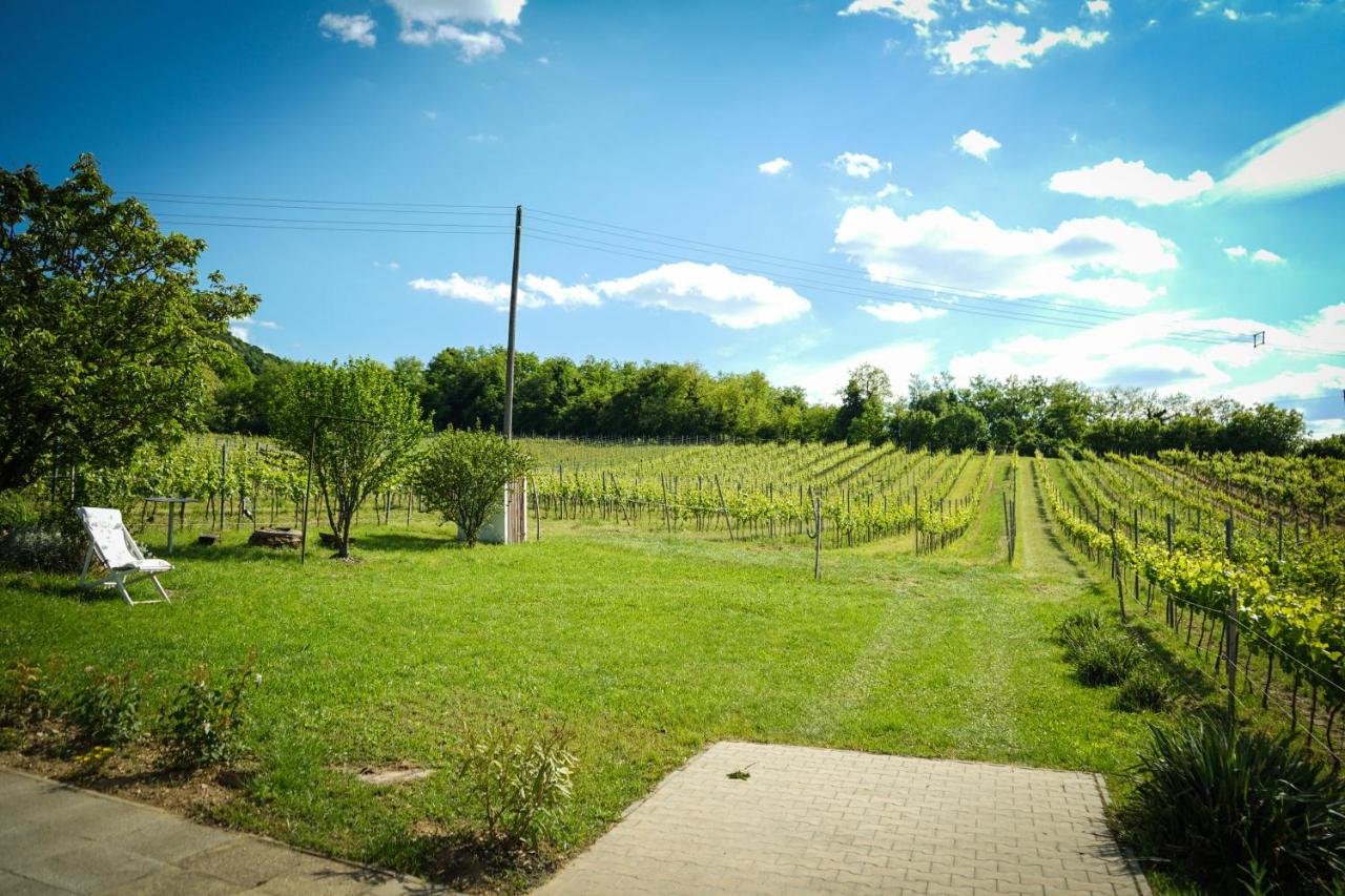 Pinot Gris House - B&B