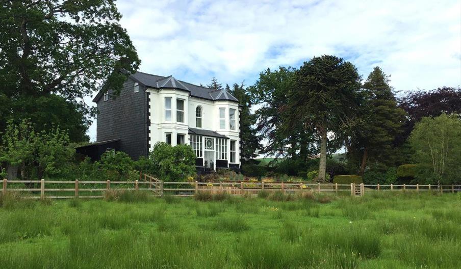 The Royston - B&B