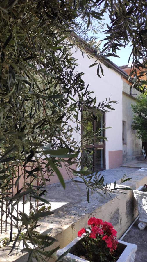 All'Uliveto - B&B