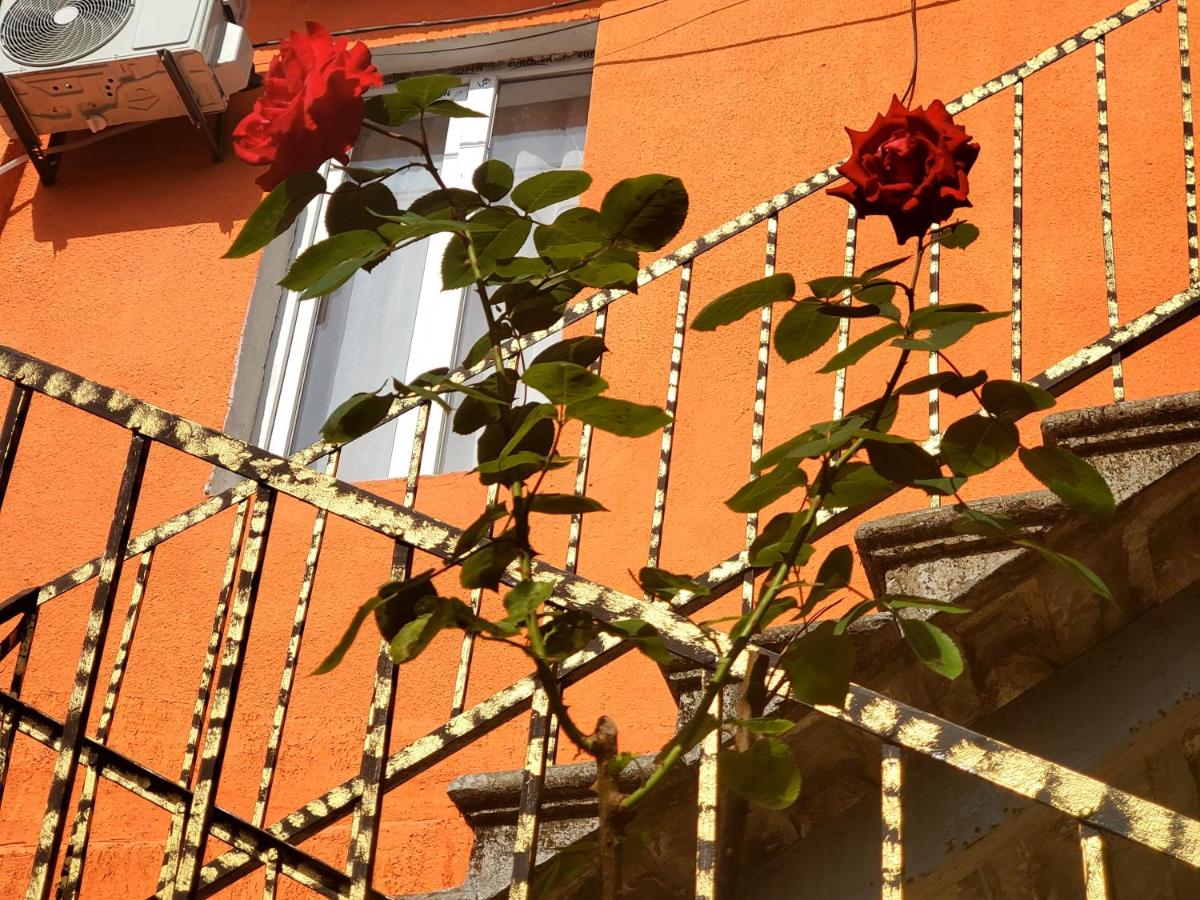 Central House - B&B