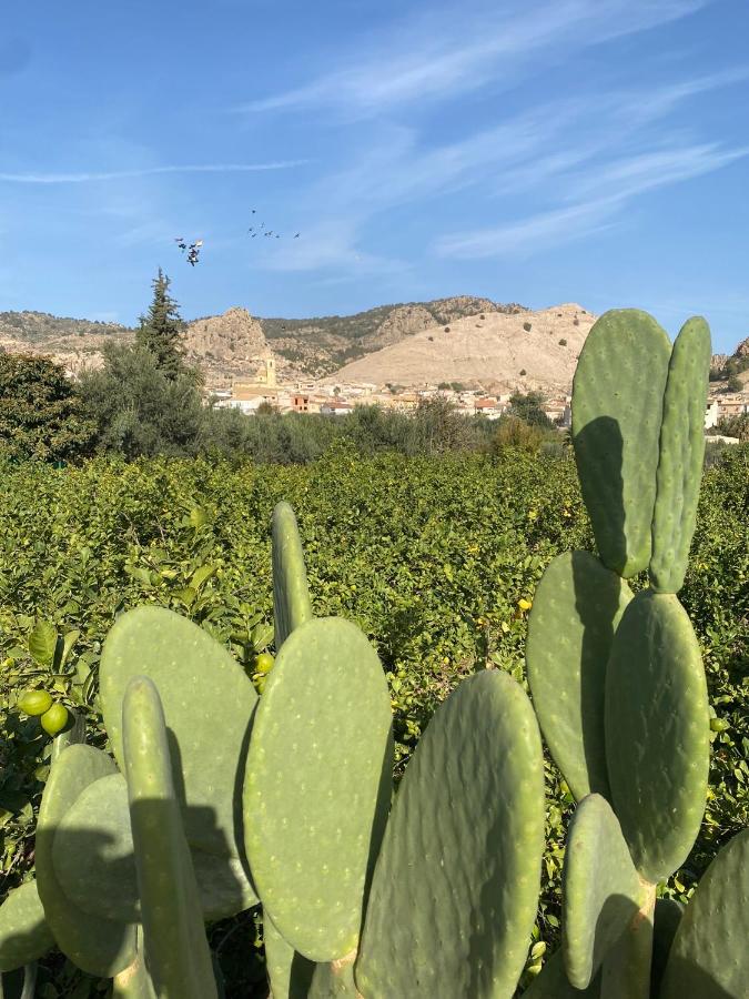 ZEN à RICOTE - B&B Ricote
