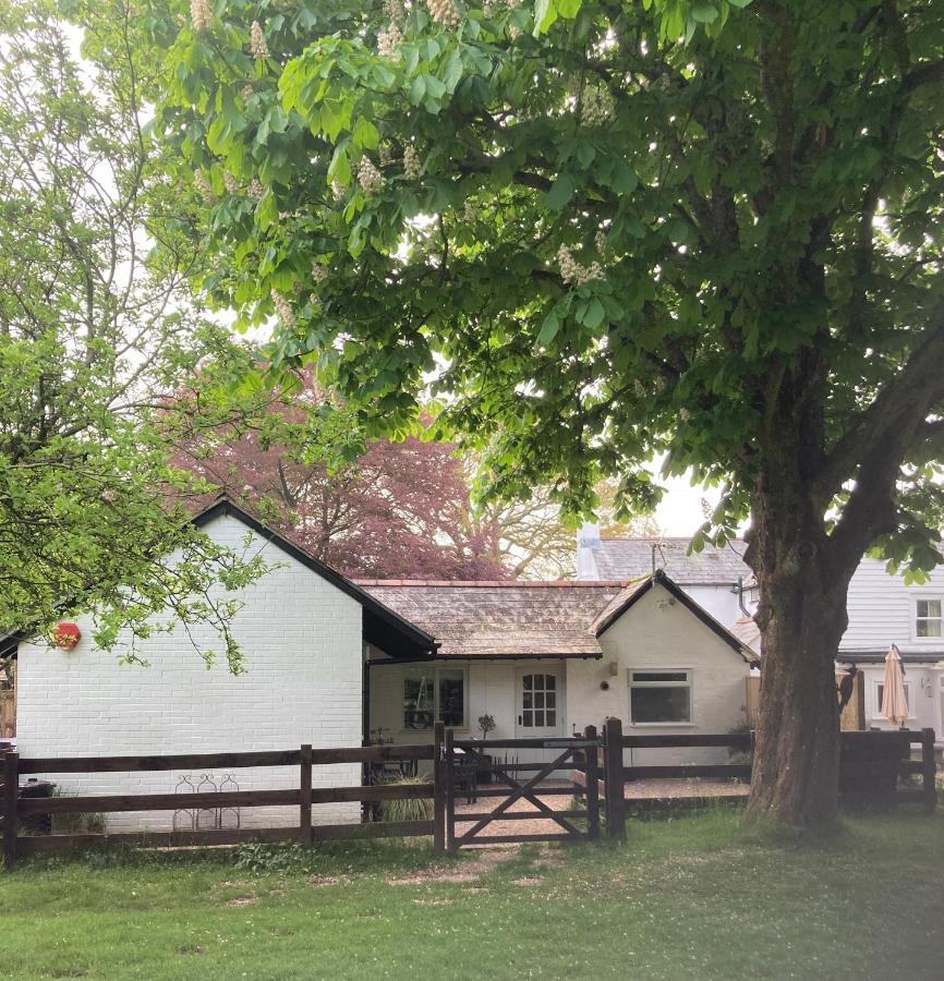 Chestnut Cottage New Forest - B&B