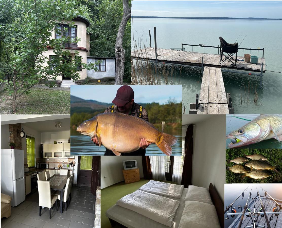 Retro Lakefront House With A Dock - Bed and Breakfast Balatonvilágos