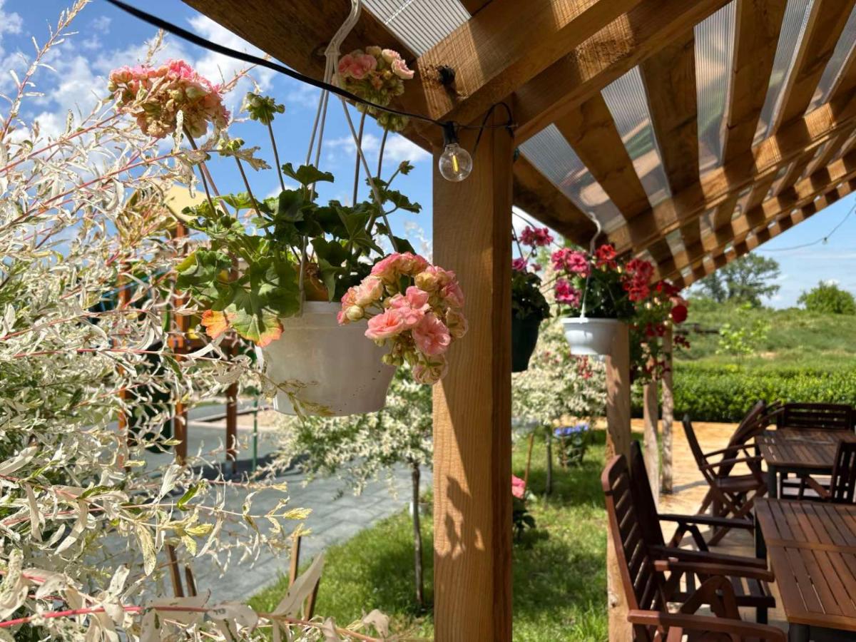 Slana bara glamping - B&B Slana Bara