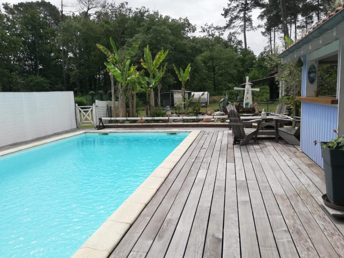 Maison familiale au calme avec piscine en bordure de forêt - B&B