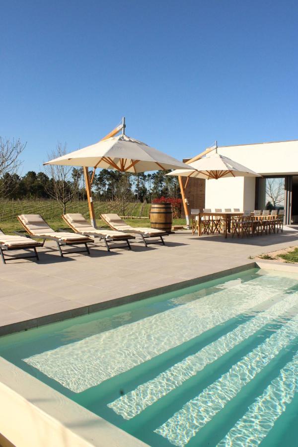 Lusus Wine House - B&B Lourosa