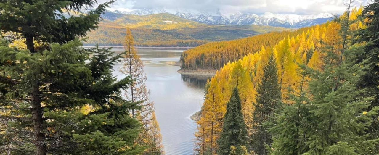Natures Calling Cabin Rentals - Chambres d’hôtes Columbia Falls