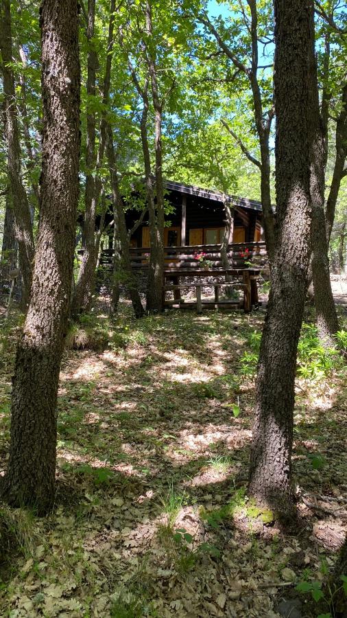 Woods Etna Chalet - B&B
