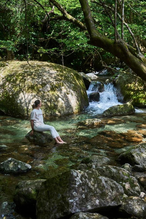 SOBAE Private Riverside Villa Yakushima - Chambres d'hôtes Yudomari
