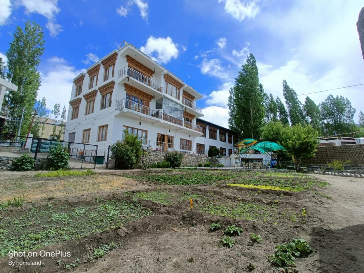 yangphel house - B&B