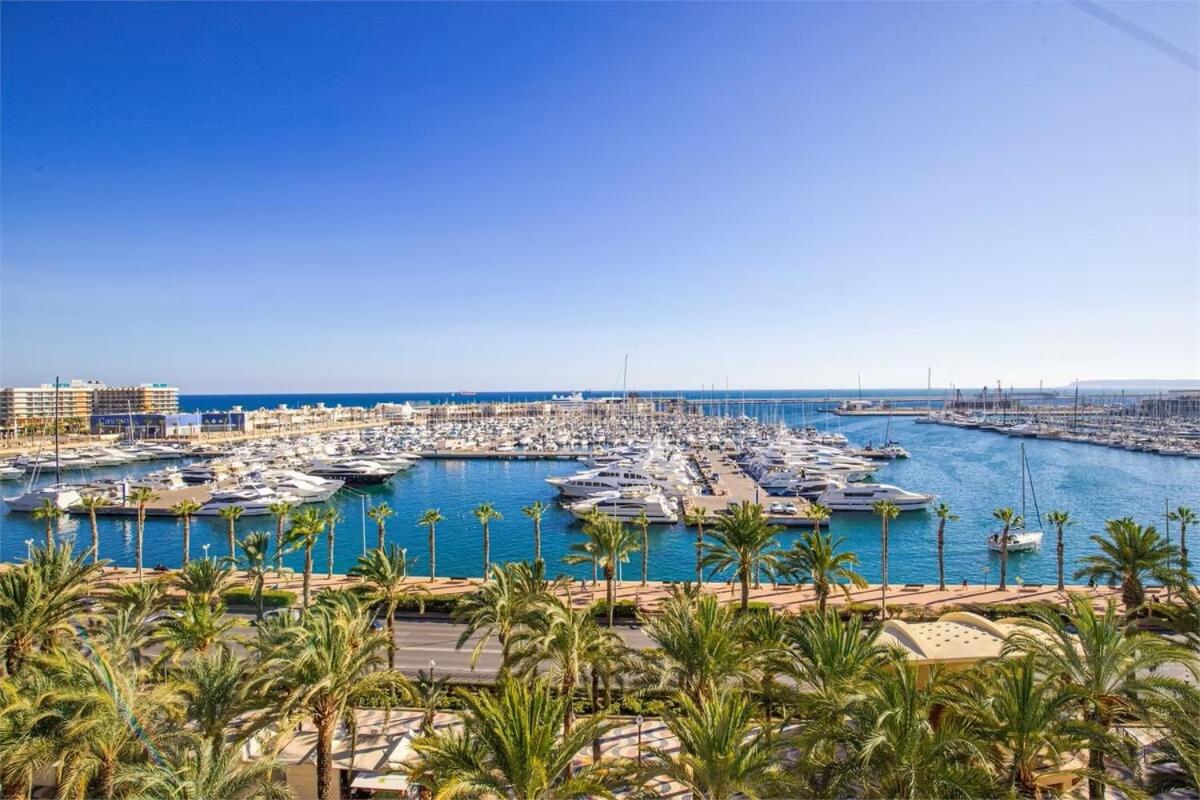 Casa Patas - B&B Alicante